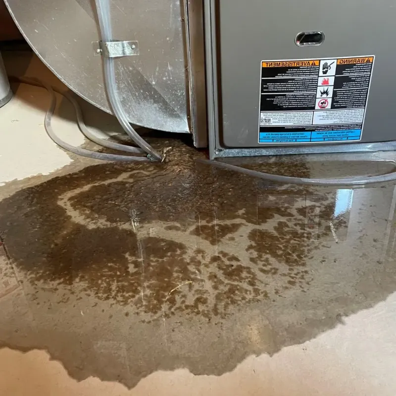 Pipe Burst and Leak Restoration in Lisbon, CT