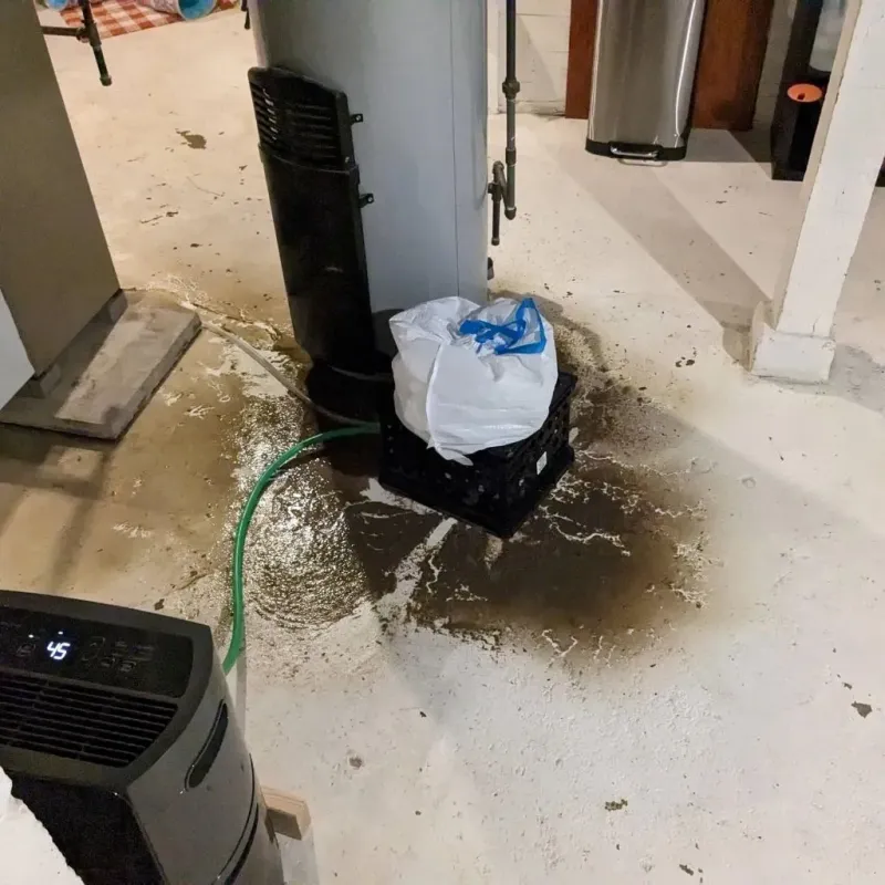 Sewage Backup Cleanup Service in Lisbon, CT